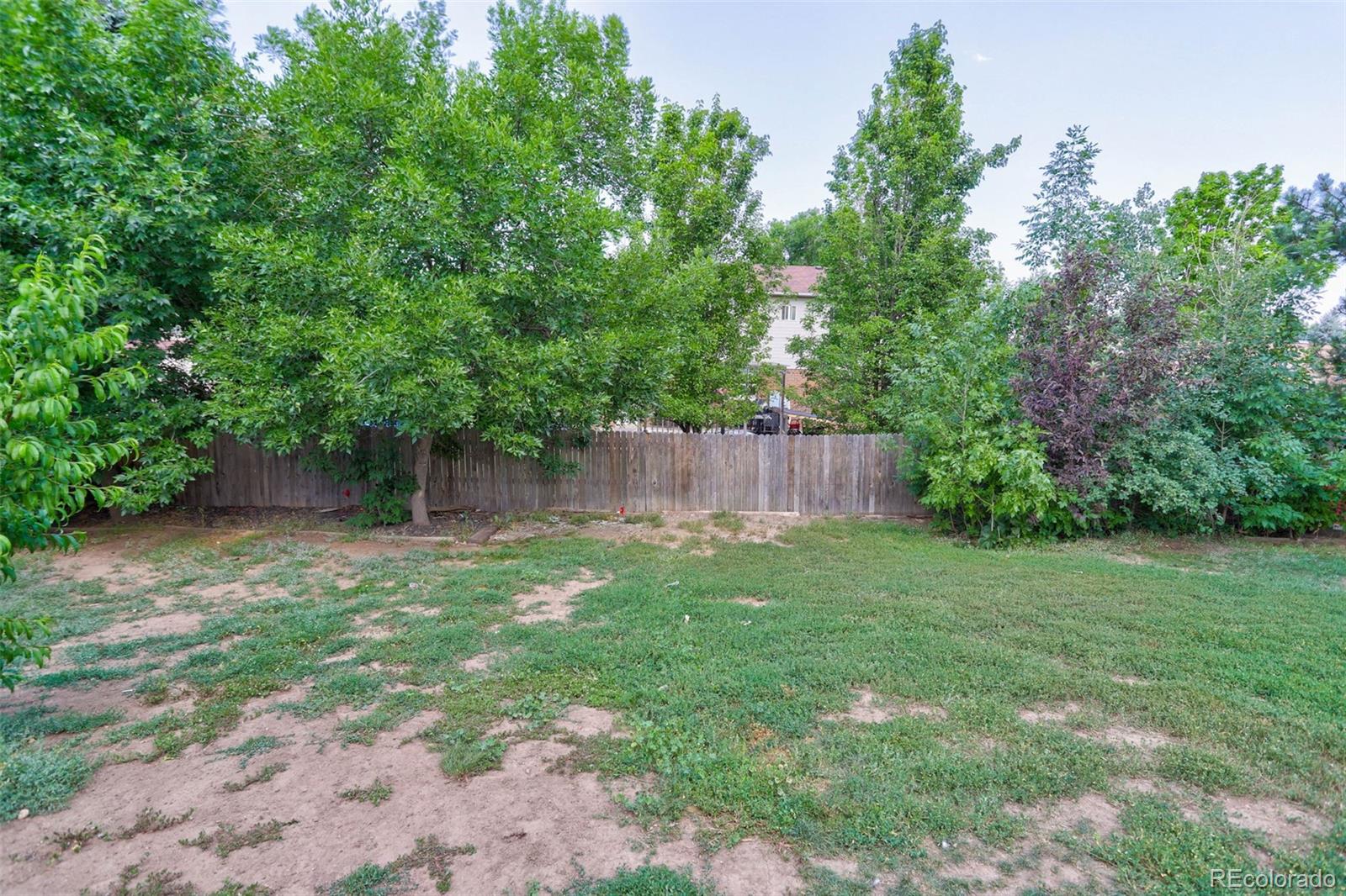 MLS Image #33 for 7244  braun court,arvada, Colorado