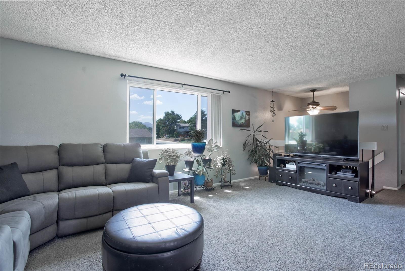 MLS Image #9 for 7244  braun court,arvada, Colorado