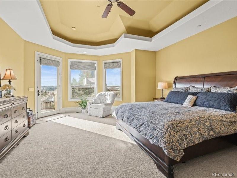 MLS Image #19 for 1222  buffalo ridge road,castle pines, Colorado