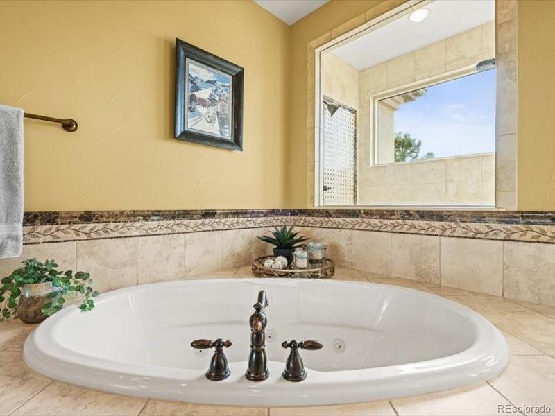 MLS Image #23 for 1222  buffalo ridge road,castle pines, Colorado