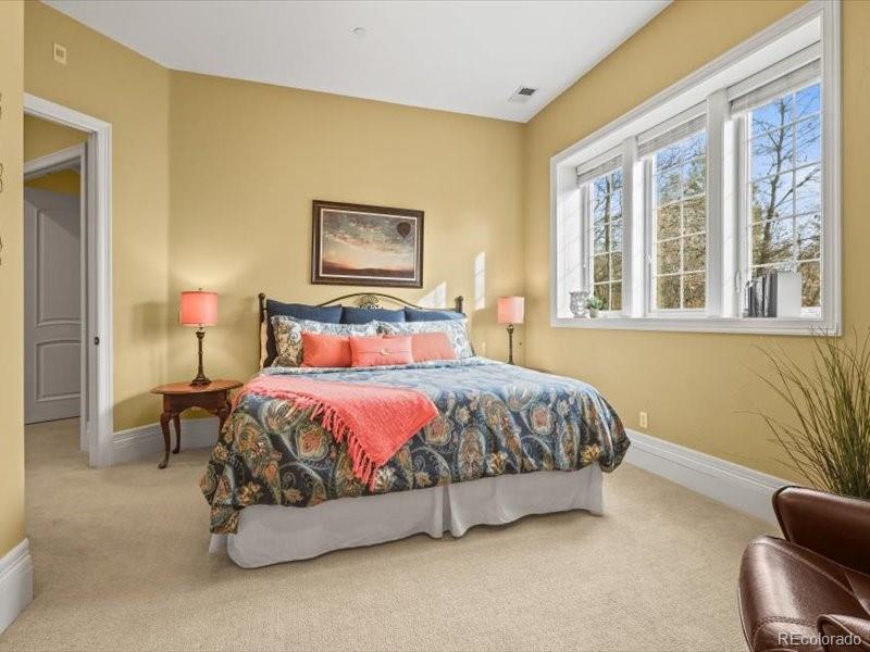 MLS Image #35 for 1222  buffalo ridge road,castle pines, Colorado
