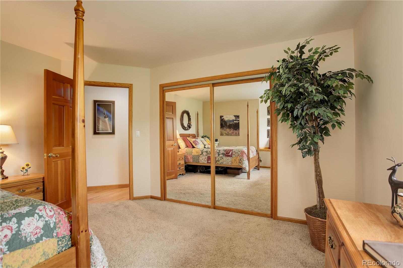 MLS Image #24 for 11285  bear run trail,conifer, Colorado