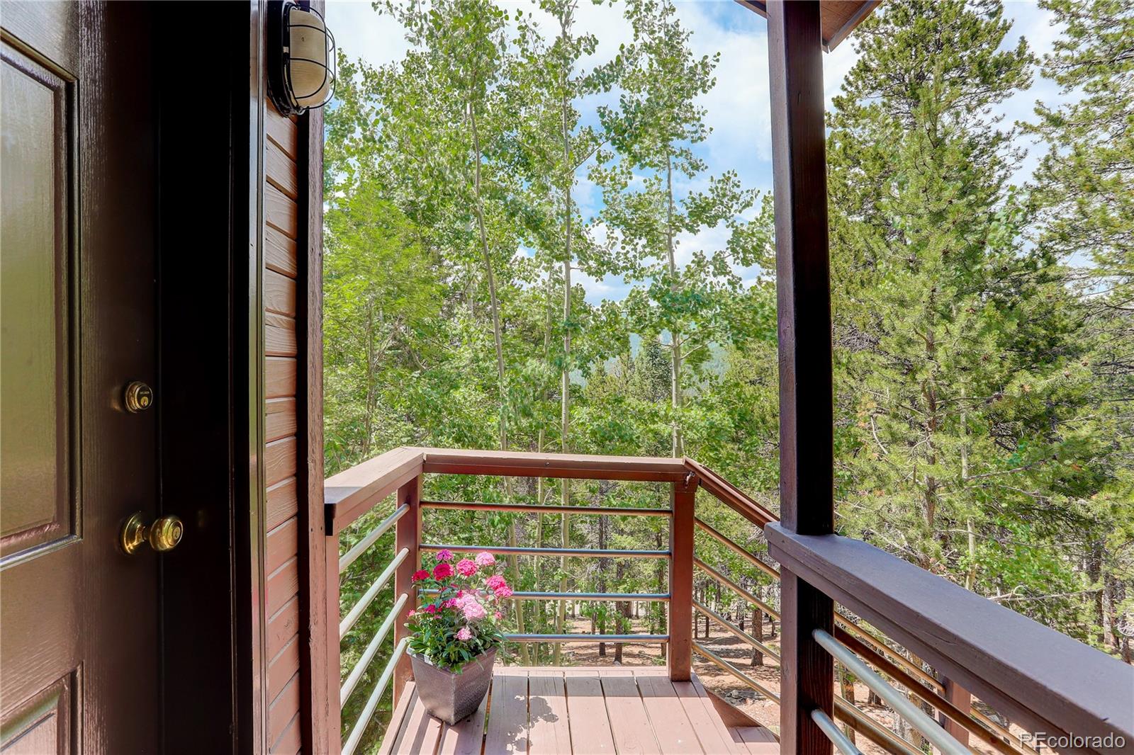 MLS Image #7 for 11285  bear run trail,conifer, Colorado