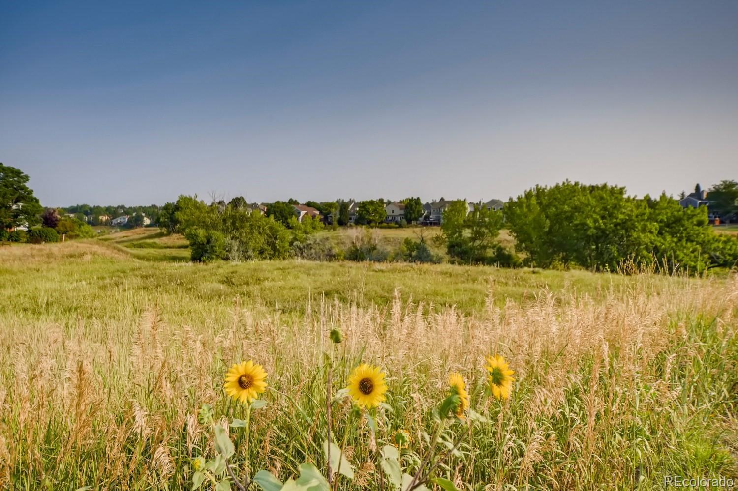 MLS Image #41 for 8887  cactus flower way,highlands ranch, Colorado