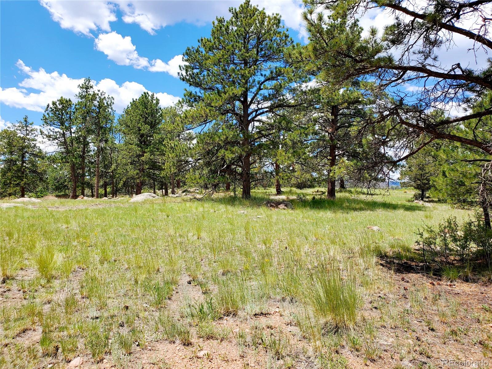 MLS Image #38 for 22  choctaw road,florissant, Colorado