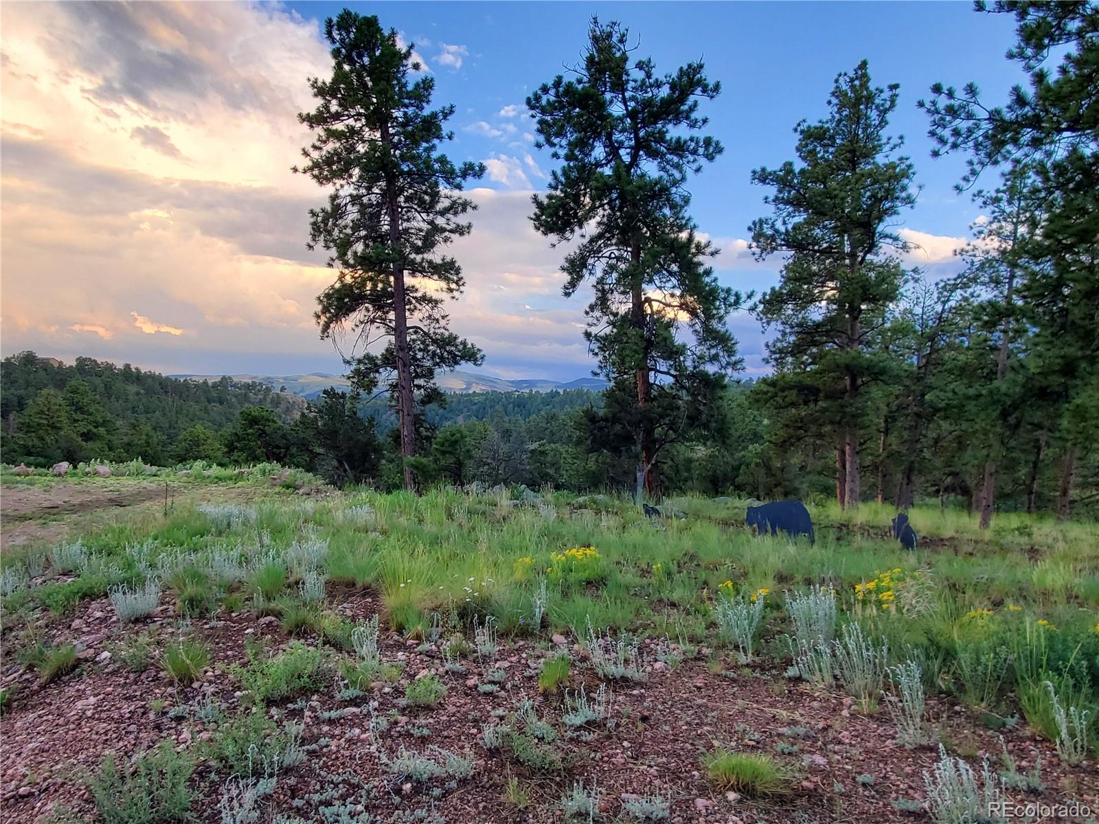 MLS Image #44 for 22  choctaw road,florissant, Colorado