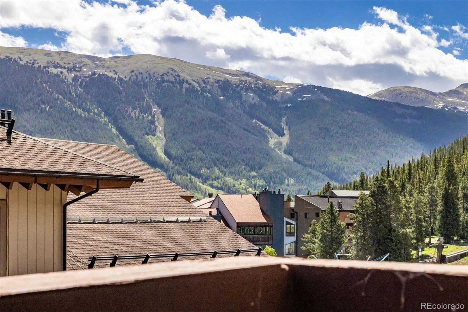 MLS Image #24 for 184  copper circle,copper mountain, Colorado