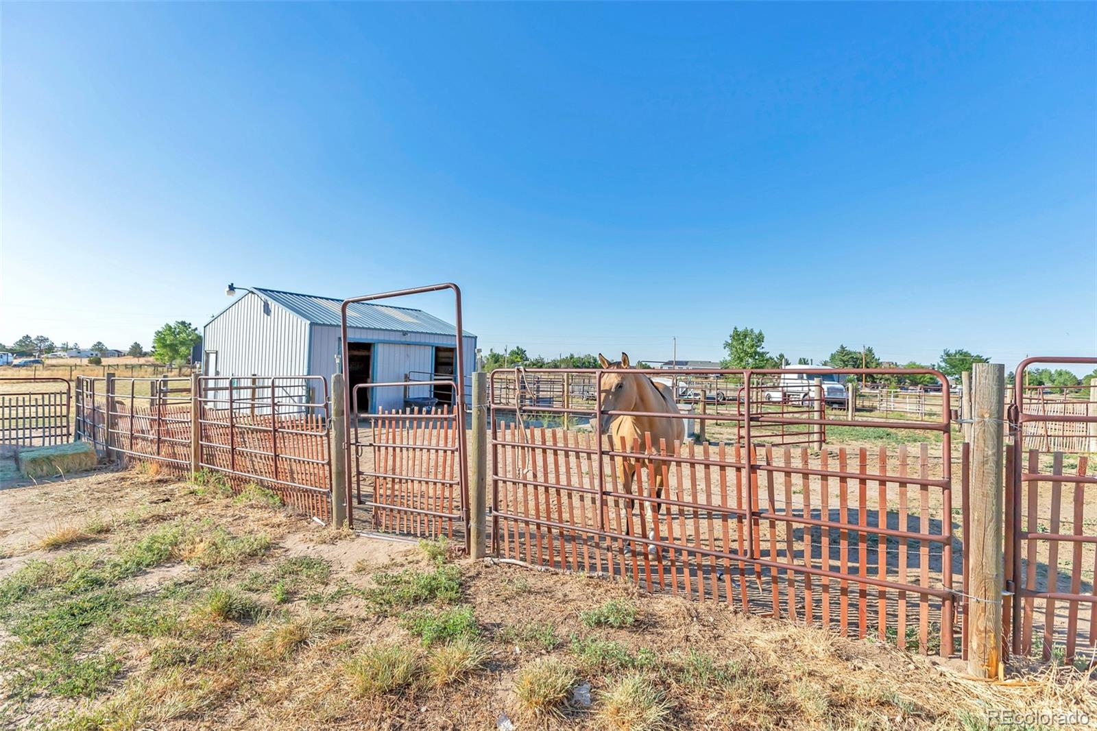 MLS Image #19 for 7567  sun country drive,elizabeth, Colorado