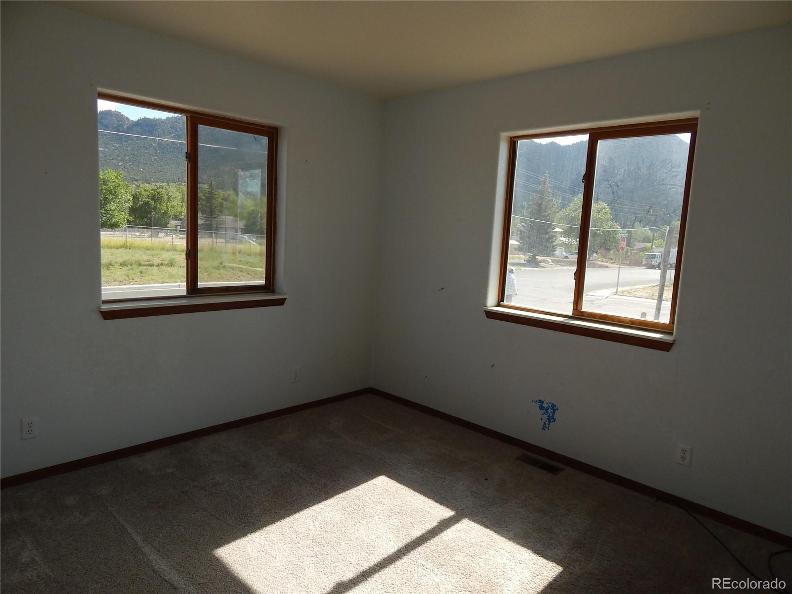 MLS Image #13 for 137  baylor drive,buena vista, Colorado