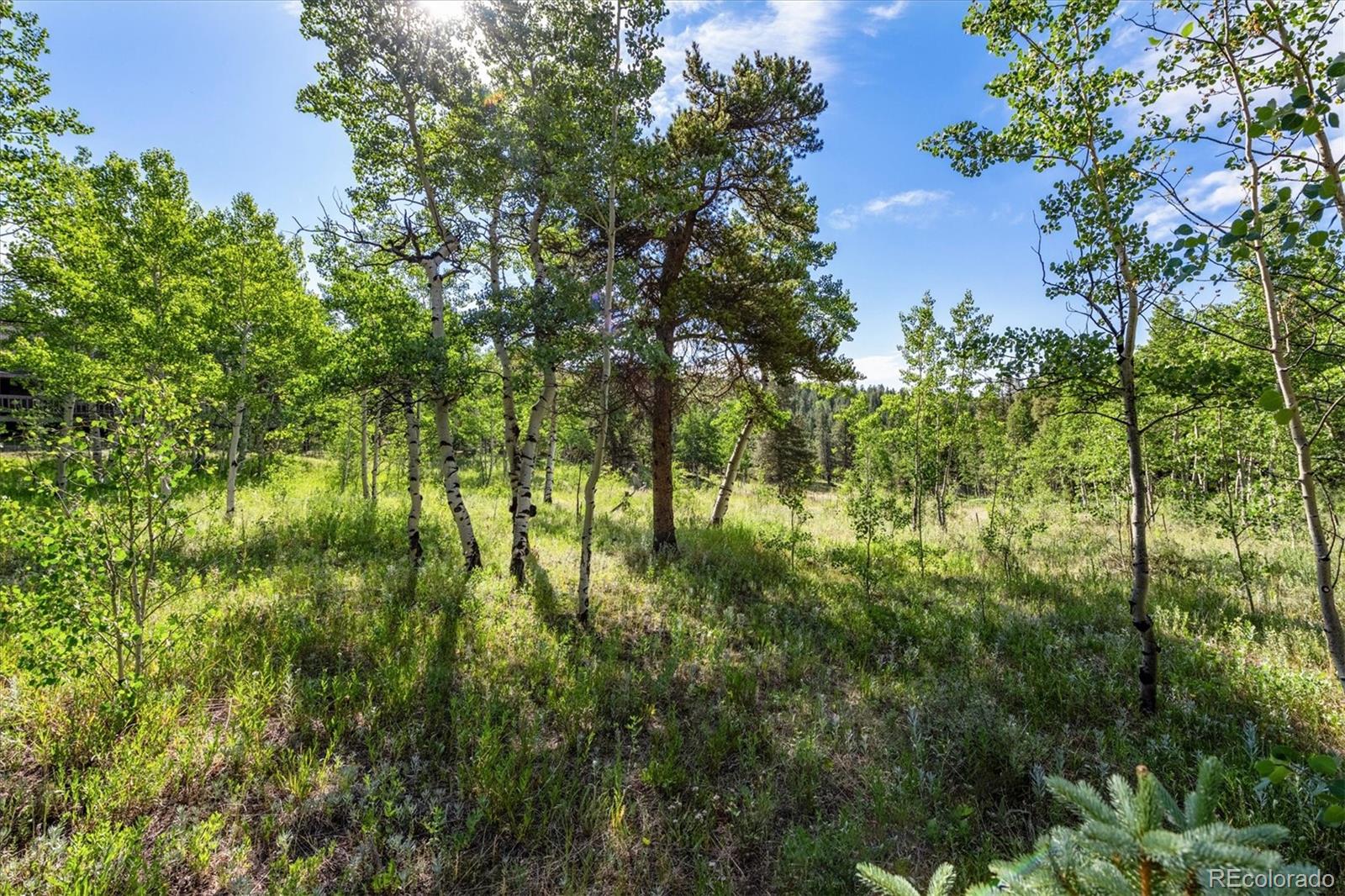 MLS Image #28 for 32  foxtail circle,black hawk, Colorado