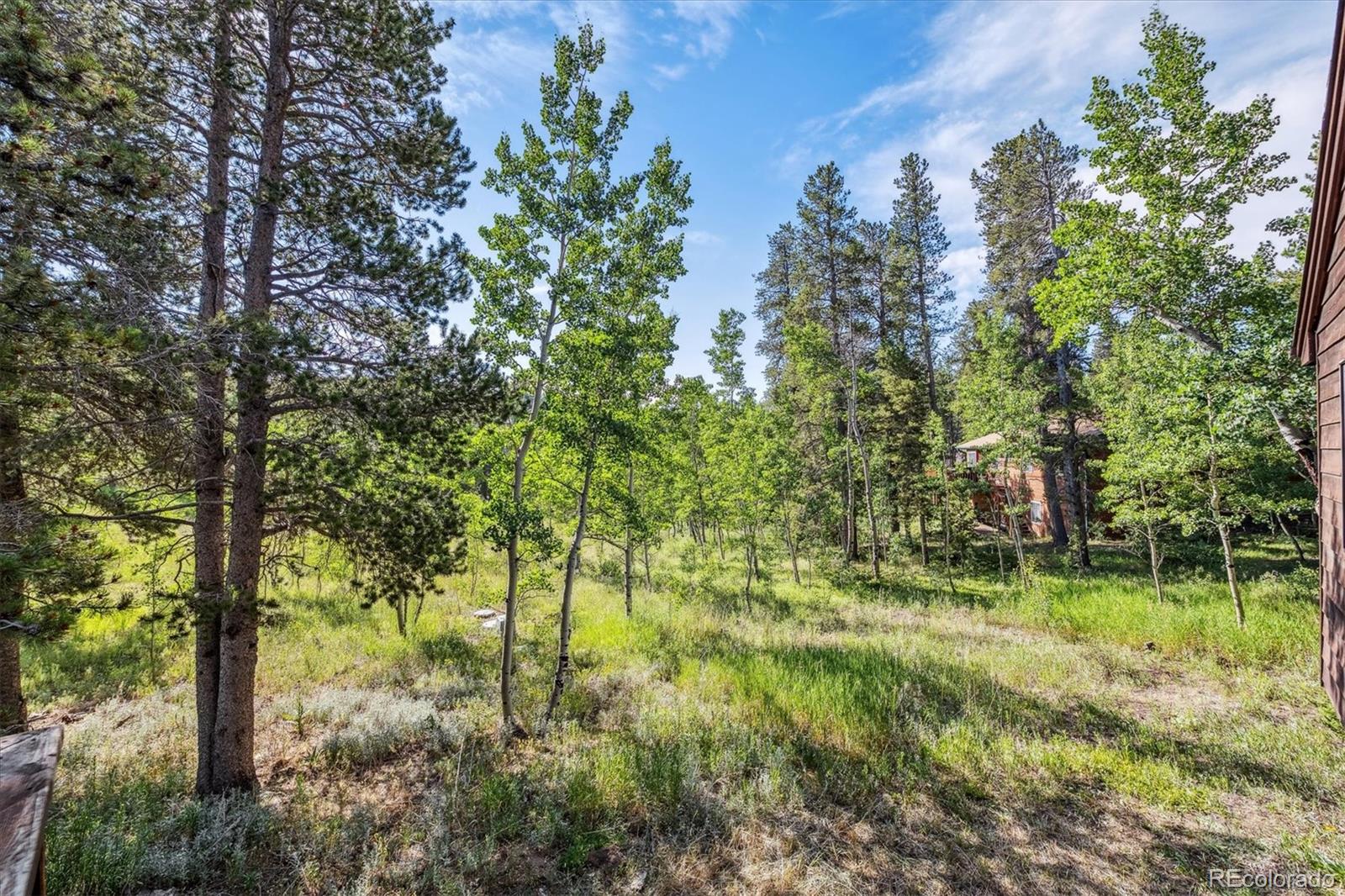 MLS Image #29 for 32  foxtail circle,black hawk, Colorado