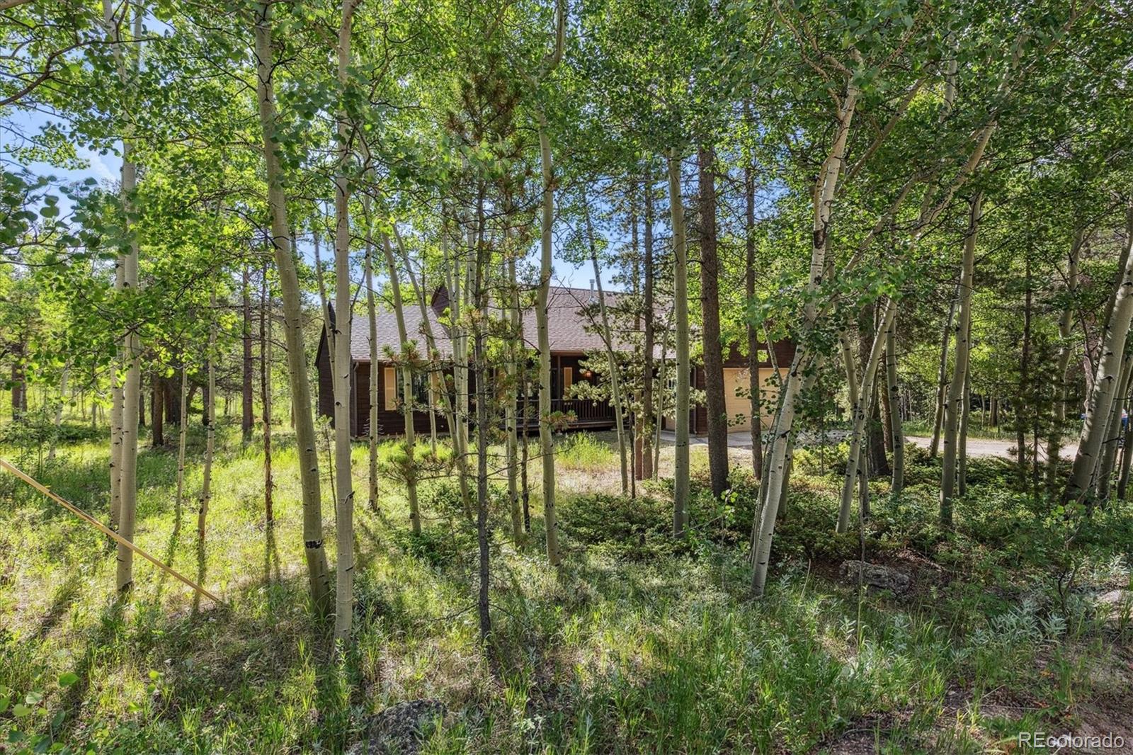 MLS Image #5 for 32  foxtail circle,black hawk, Colorado