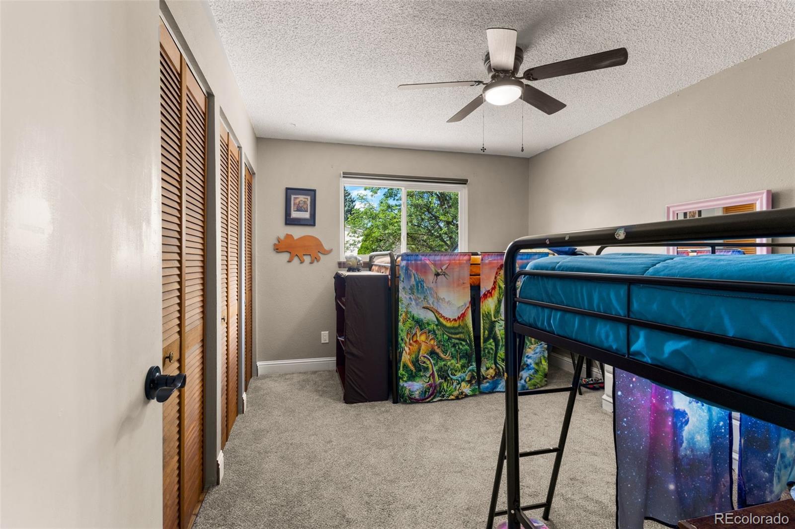 MLS Image #11 for 4360  london lane,colorado springs, Colorado