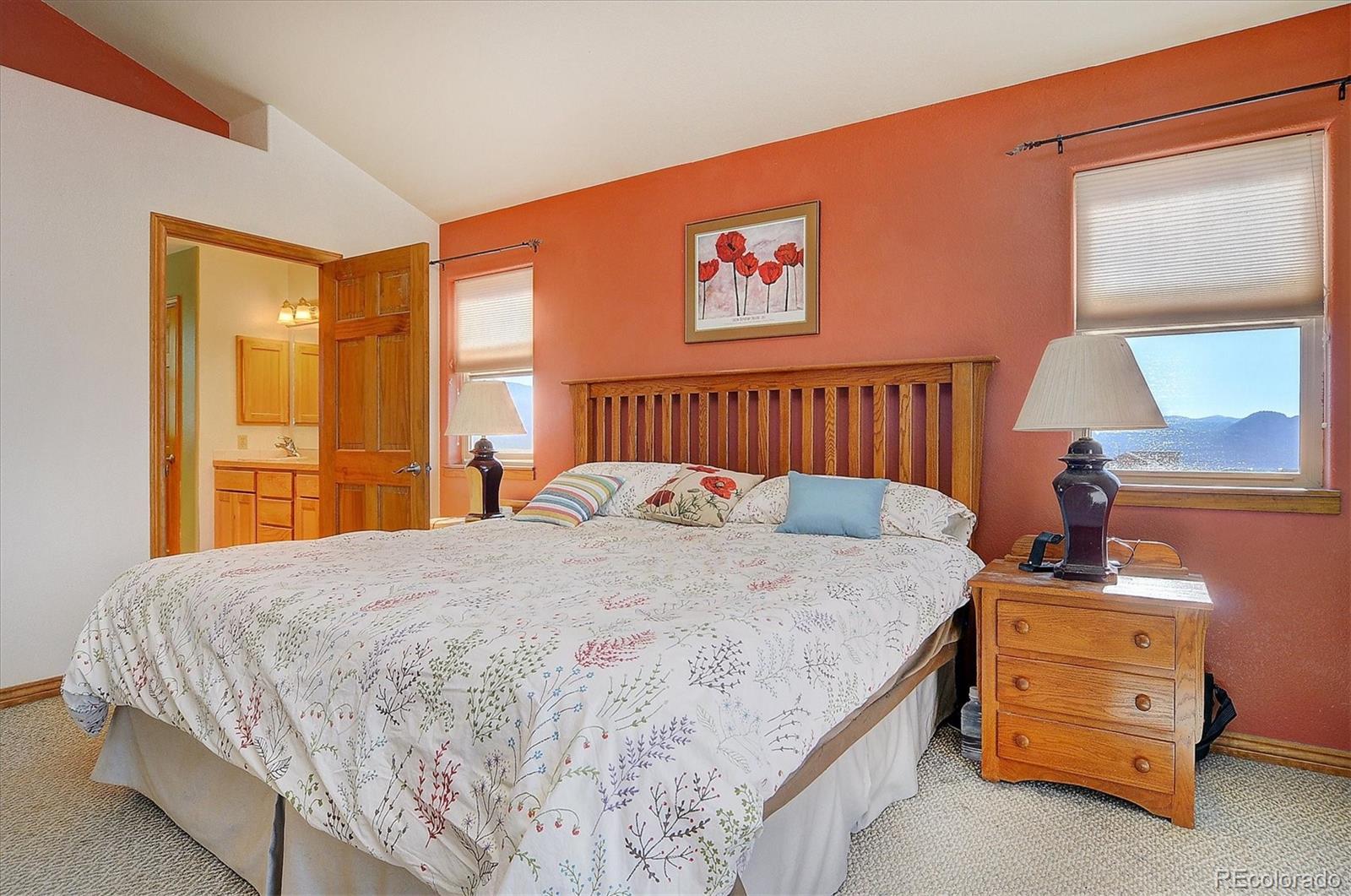 MLS Image #12 for 30557  elk meadow ,buena vista, Colorado