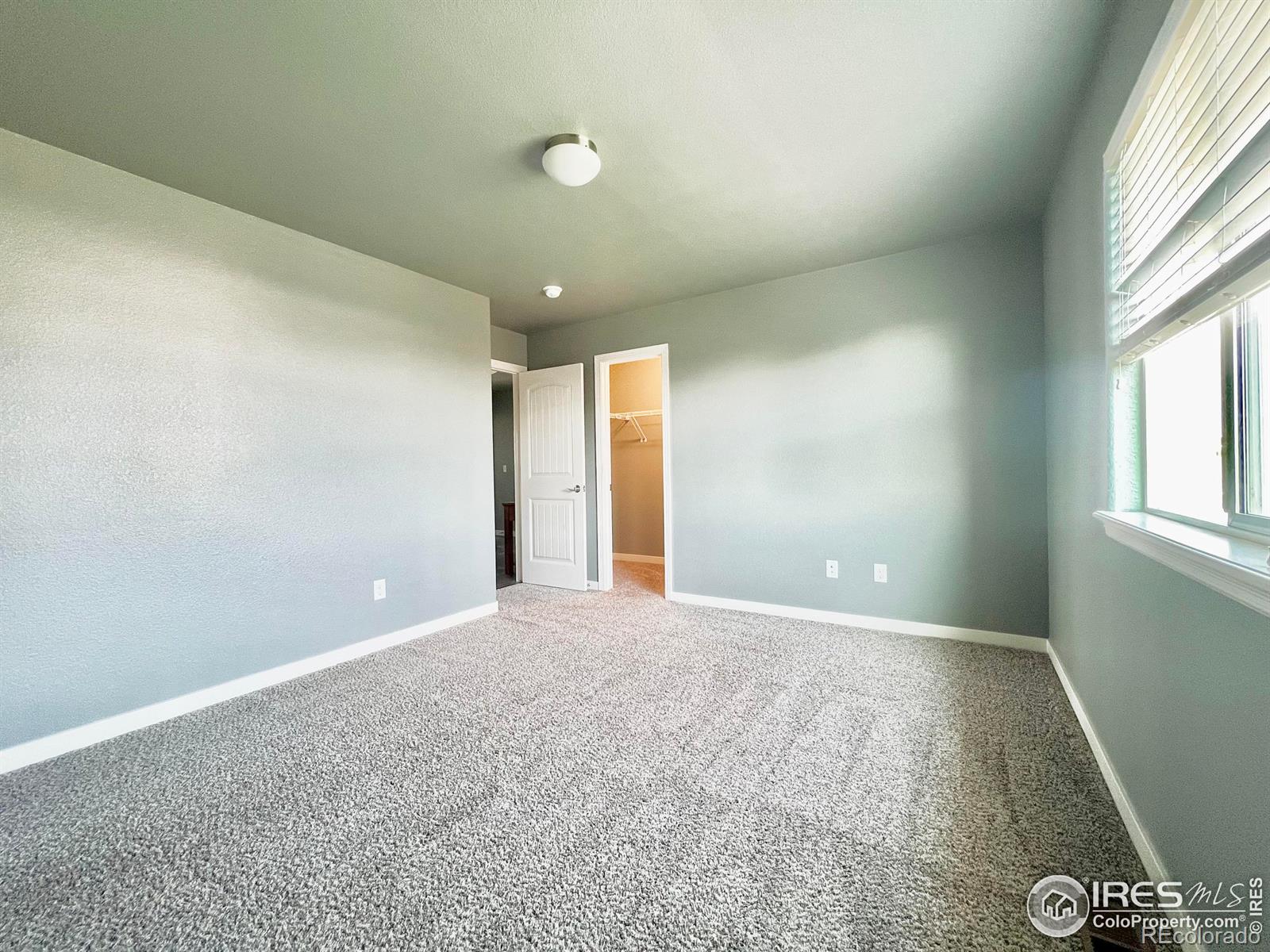 MLS Image #18 for 1514  cirque valley lane,severance, Colorado