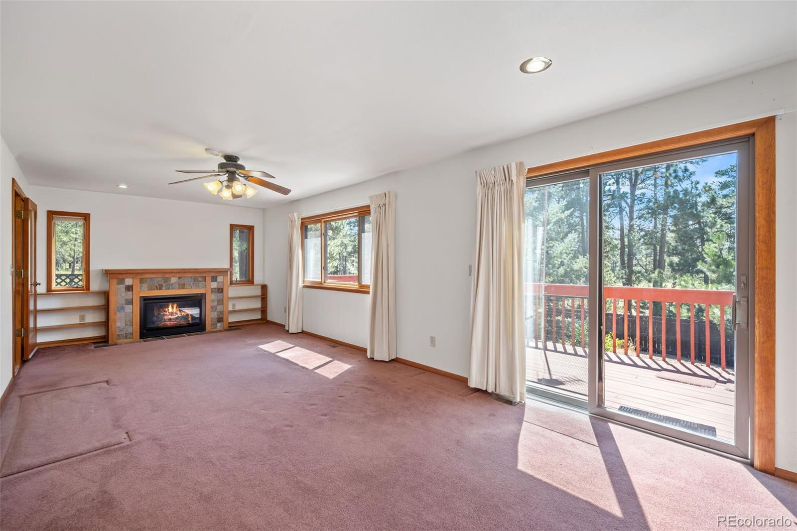 MLS Image #10 for 36923  forest trail,elizabeth, Colorado