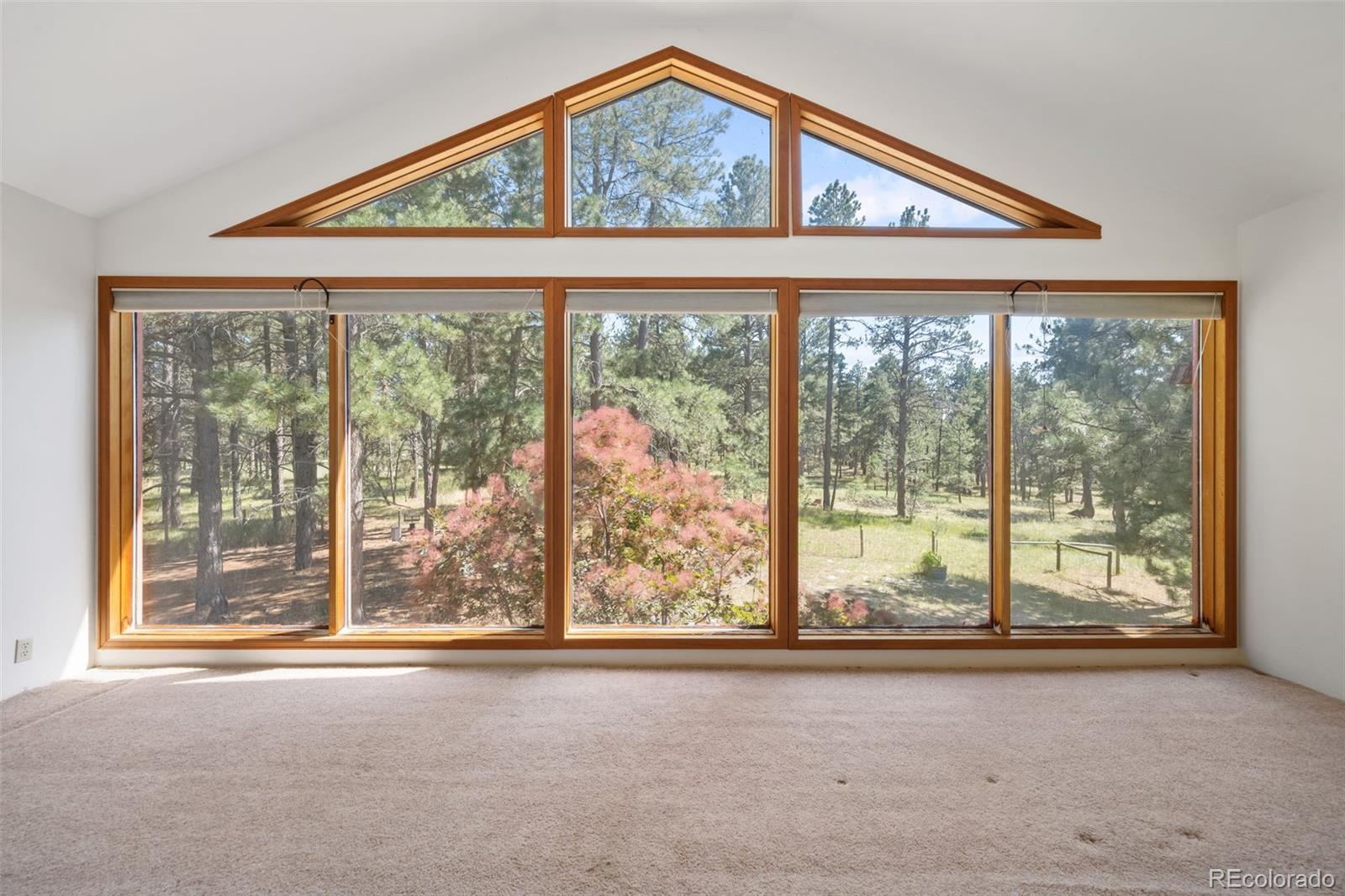 MLS Image #16 for 36923  forest trail,elizabeth, Colorado