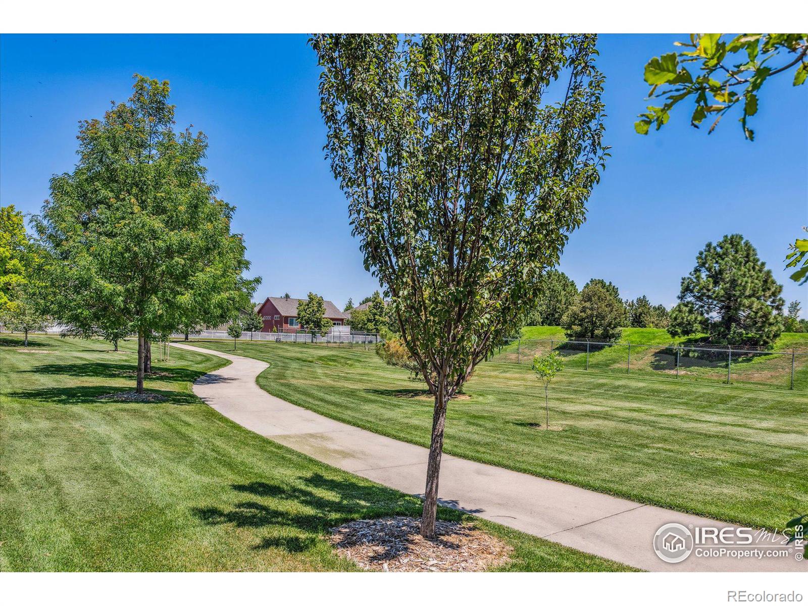 MLS Image #31 for 12442  irving drive,broomfield, Colorado