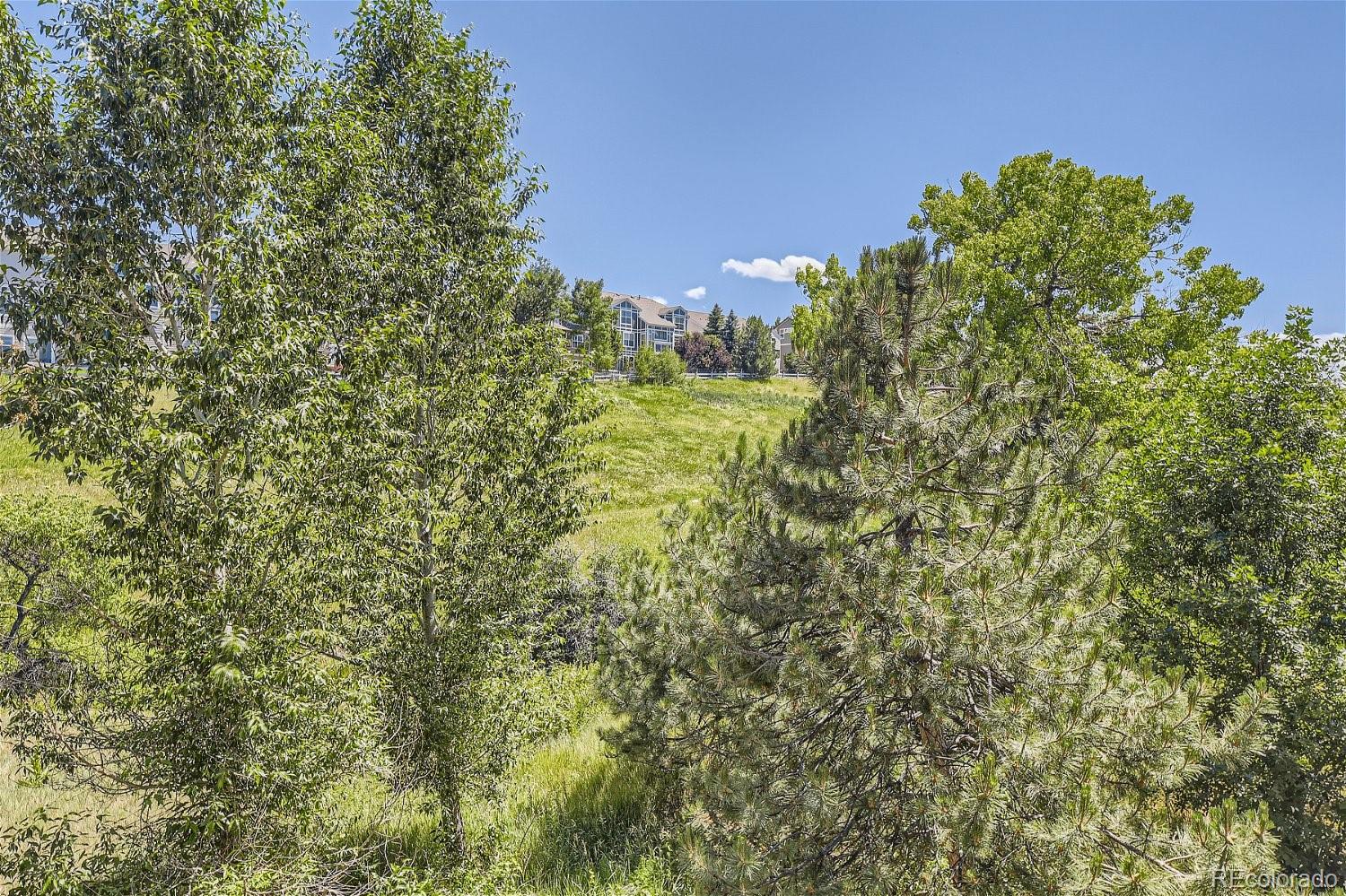 MLS Image #35 for 6792  esperanza drive,castle pines, Colorado