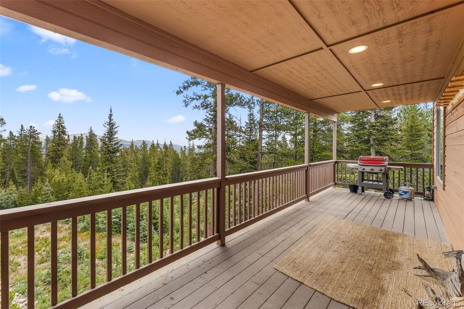 MLS Image #14 for 534  bobcat lane,fairplay, Colorado