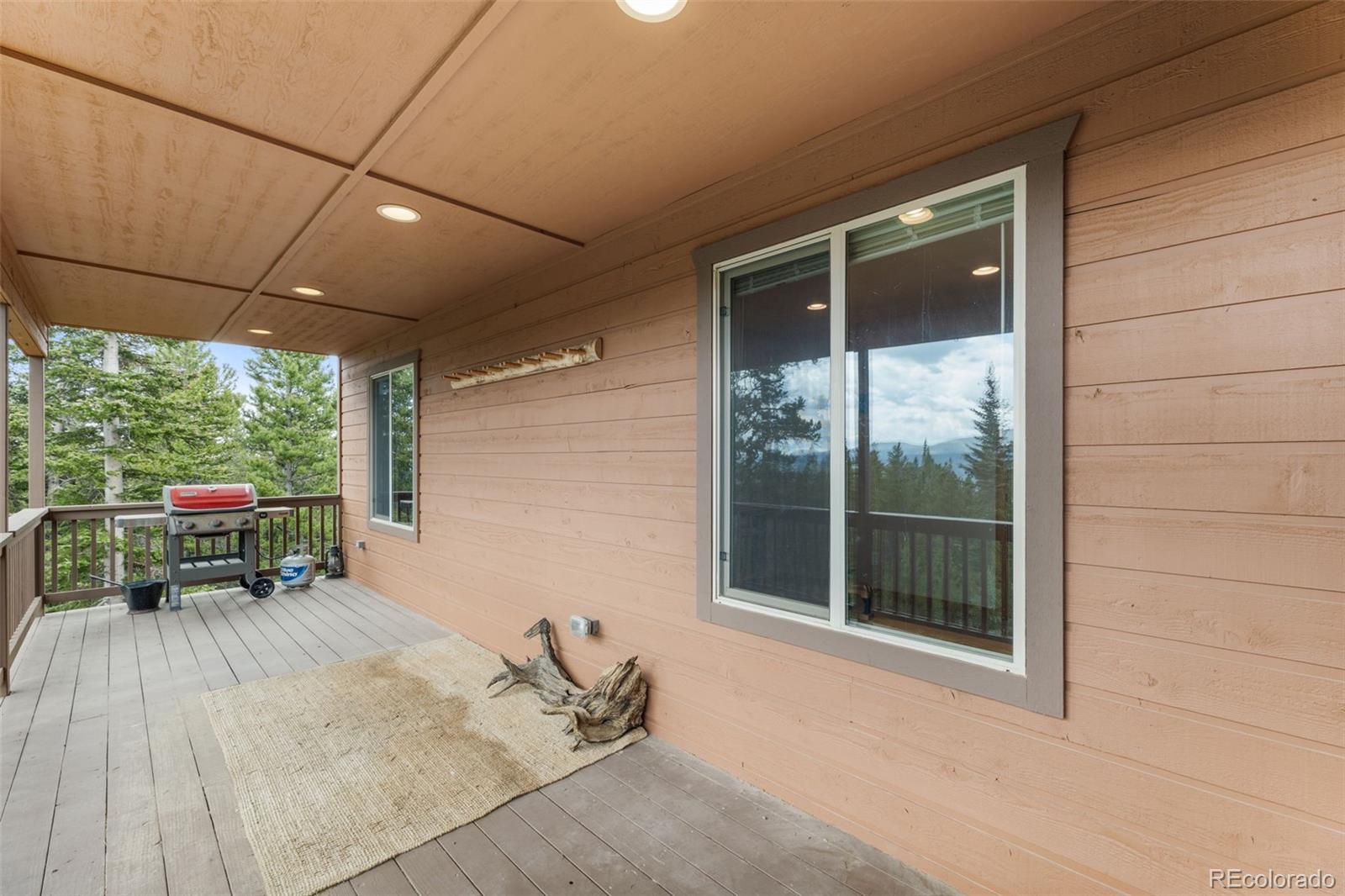 MLS Image #16 for 534  bobcat lane,fairplay, Colorado