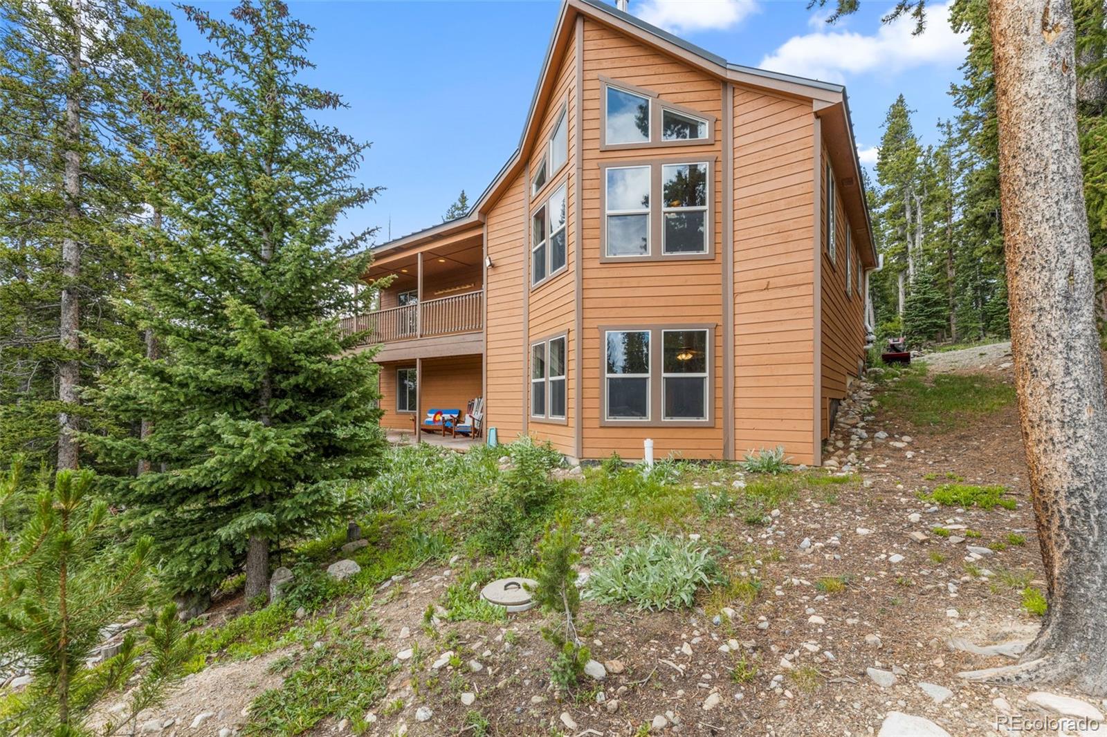 MLS Image #19 for 534  bobcat lane,fairplay, Colorado