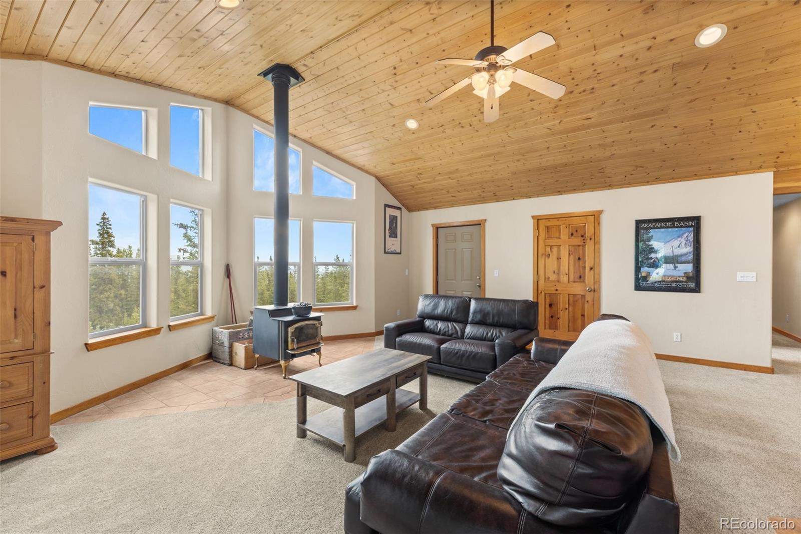 MLS Image #2 for 534  bobcat lane,fairplay, Colorado