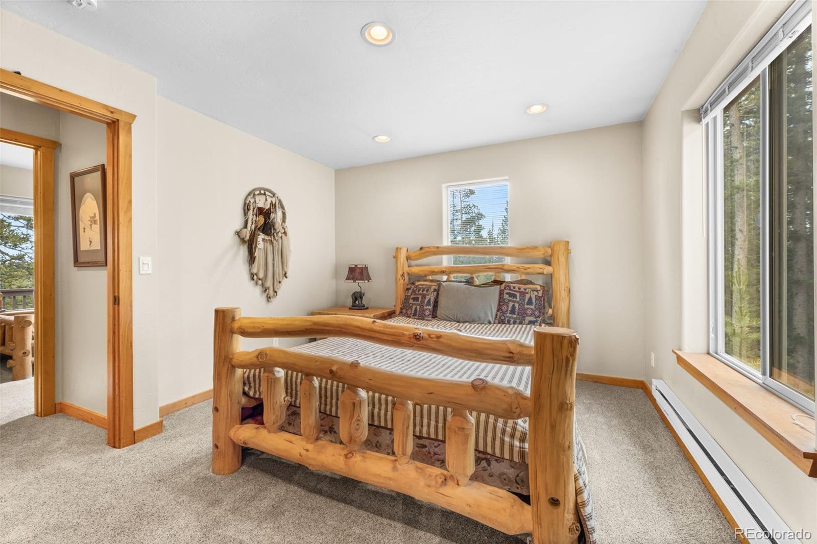 MLS Image #20 for 534  bobcat lane,fairplay, Colorado