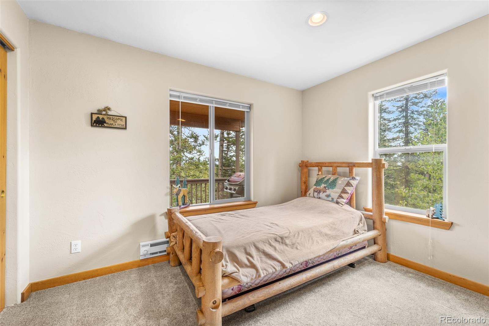 MLS Image #23 for 534  bobcat lane,fairplay, Colorado