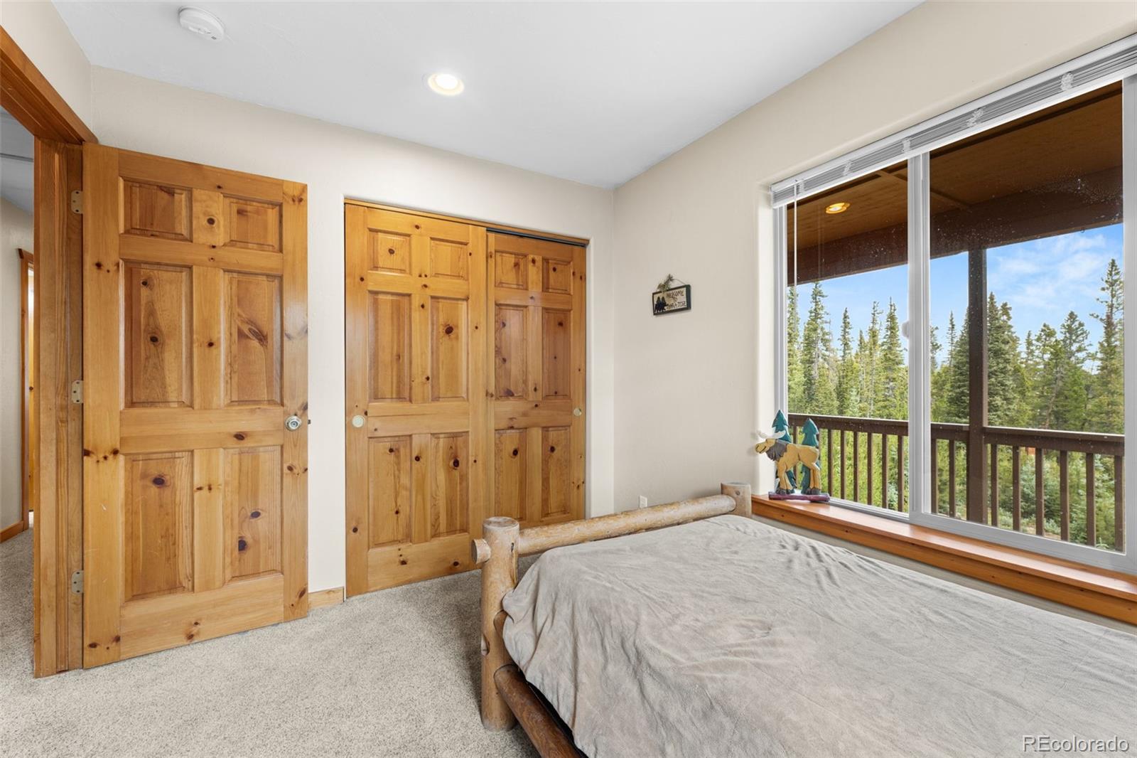 MLS Image #24 for 534  bobcat lane,fairplay, Colorado