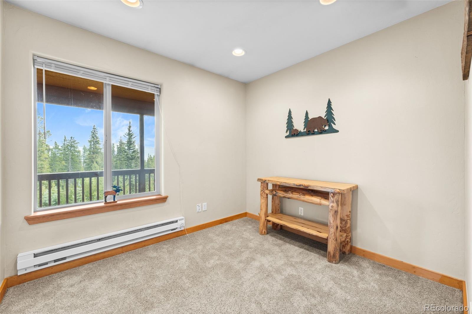 MLS Image #25 for 534  bobcat lane,fairplay, Colorado