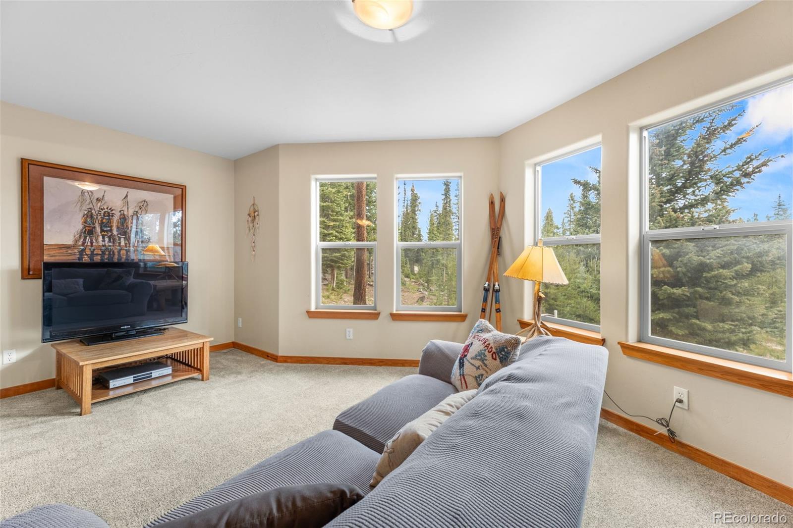 MLS Image #31 for 534  bobcat lane,fairplay, Colorado