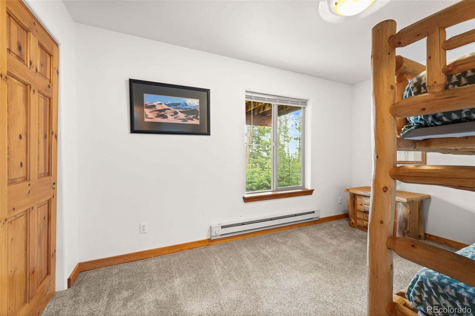 MLS Image #34 for 534  bobcat lane,fairplay, Colorado