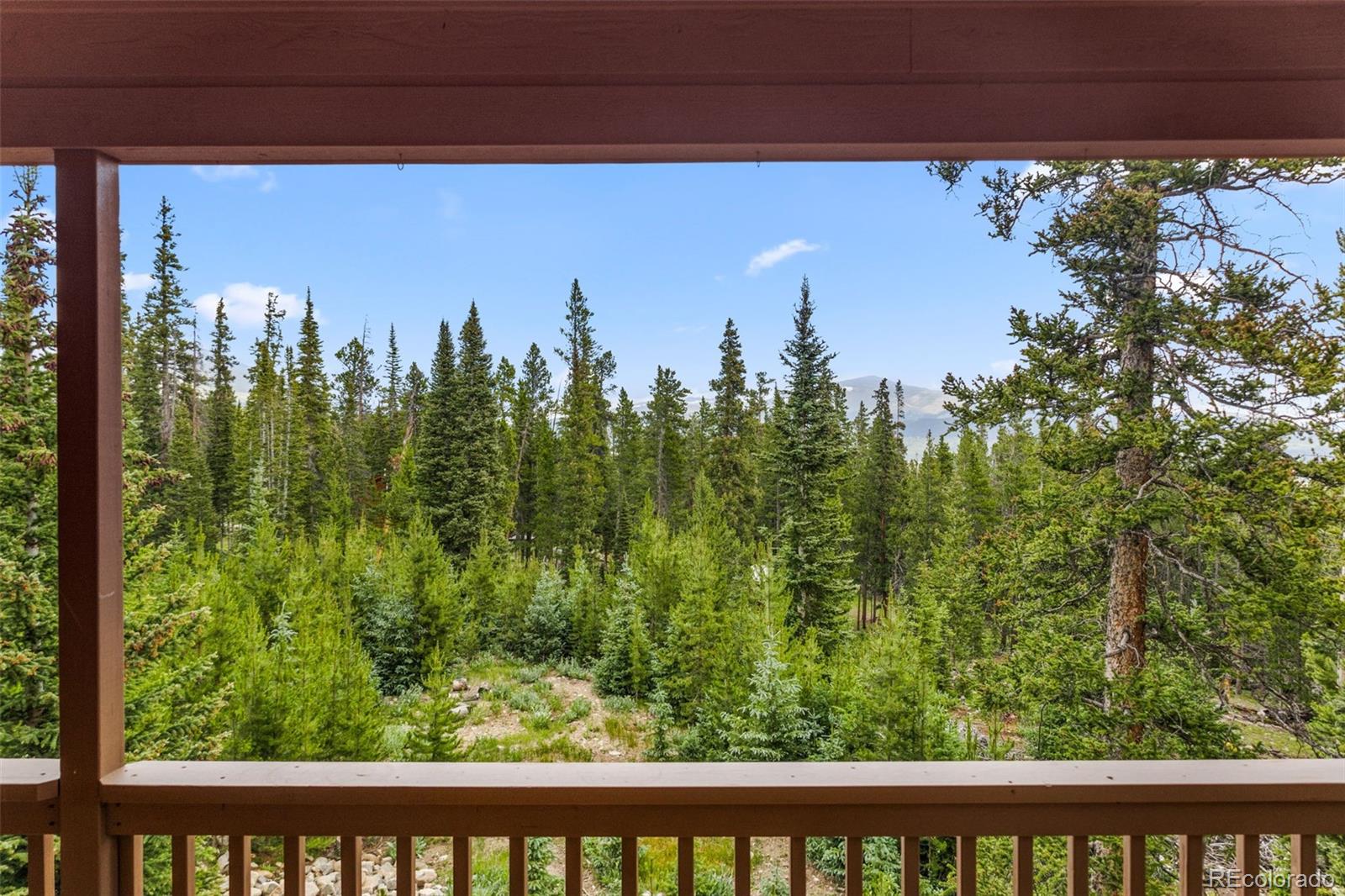 MLS Image #42 for 534  bobcat lane,fairplay, Colorado