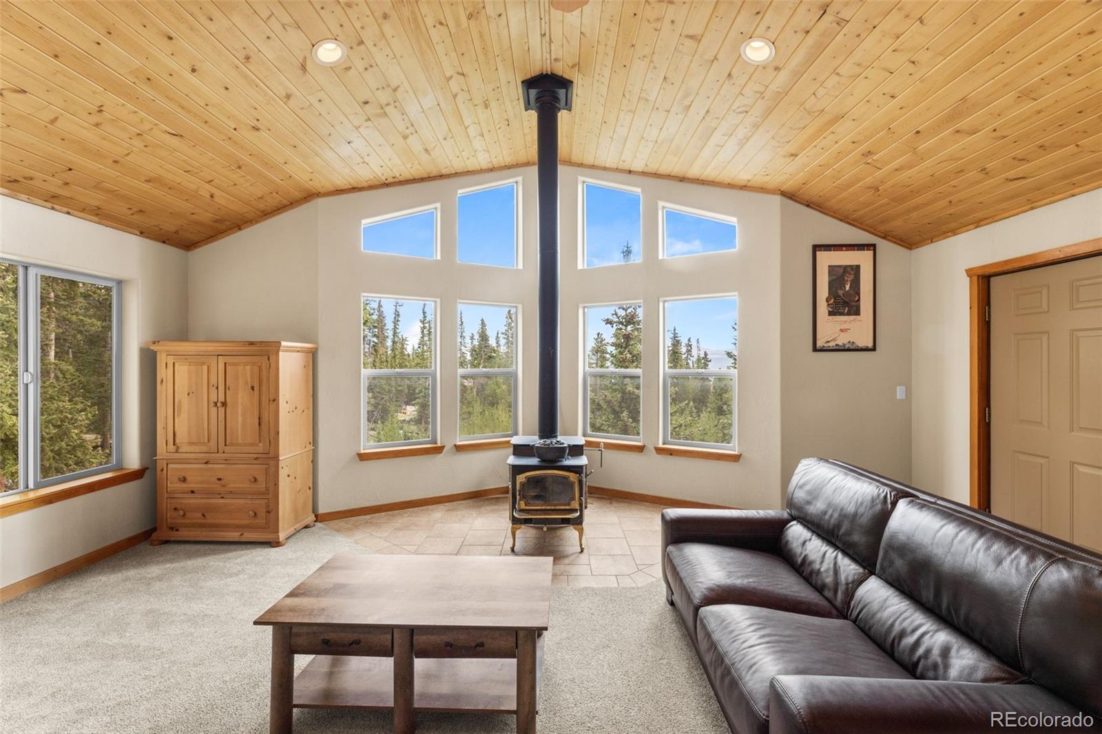 MLS Image #5 for 534  bobcat lane,fairplay, Colorado