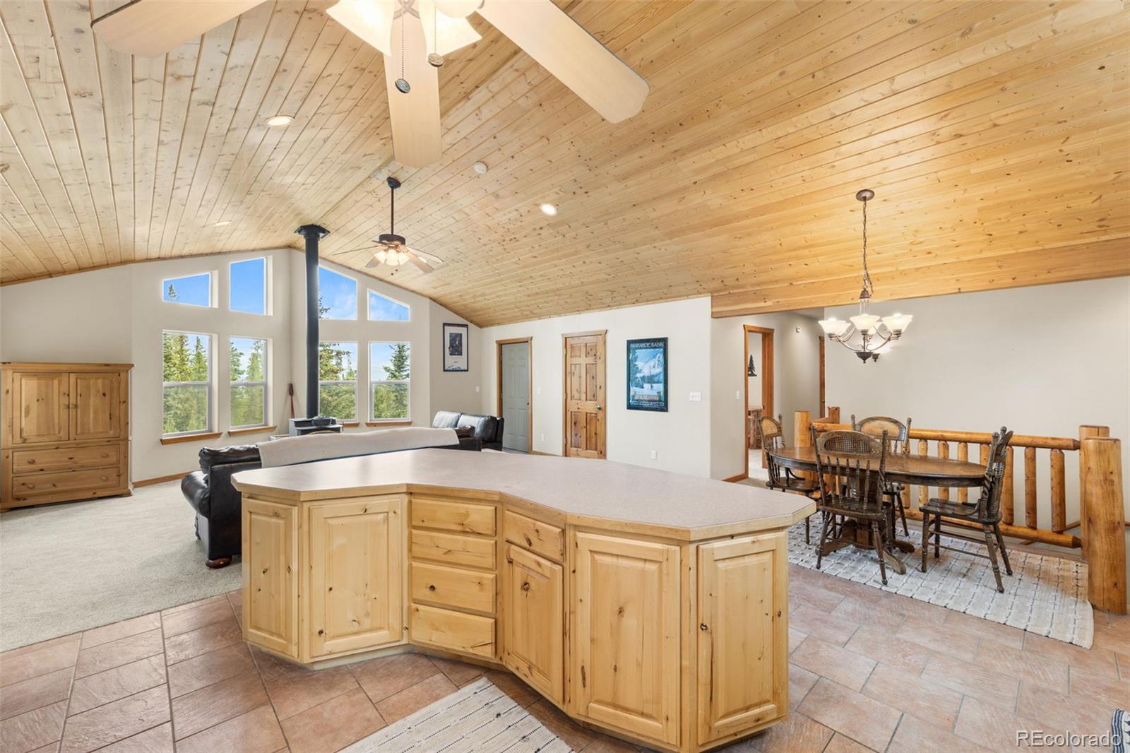 MLS Image #8 for 534  bobcat lane,fairplay, Colorado