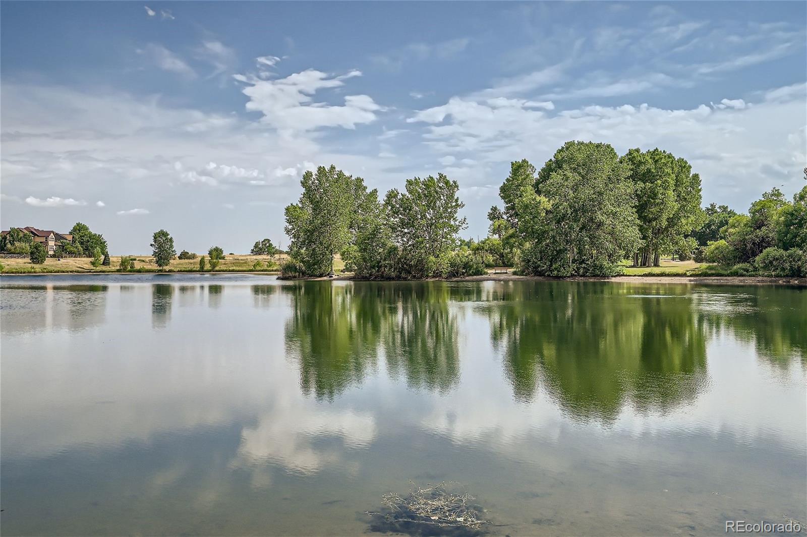 MLS Image #29 for 571  whiles court,erie, Colorado