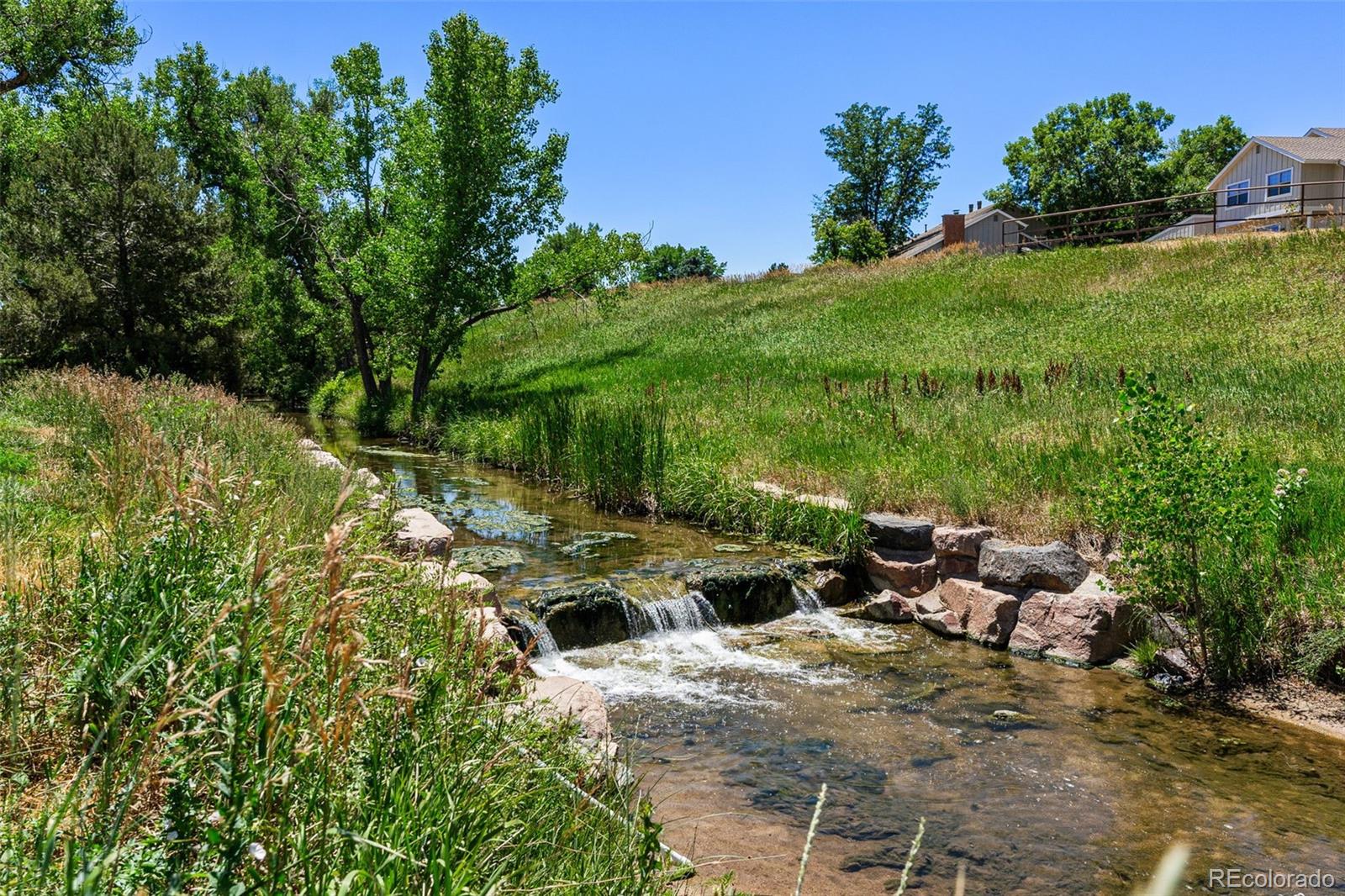 MLS Image #46 for 6928 s columbine way,centennial, Colorado