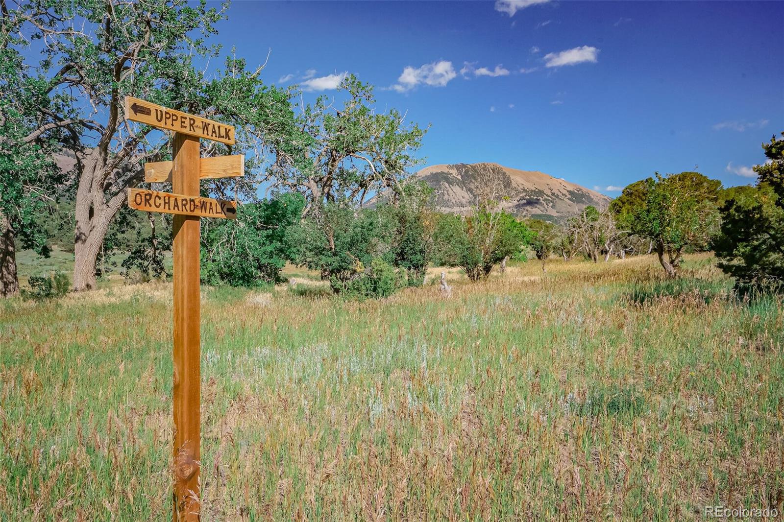 MLS Image #34 for 693  county road 572 ,gardner, Colorado