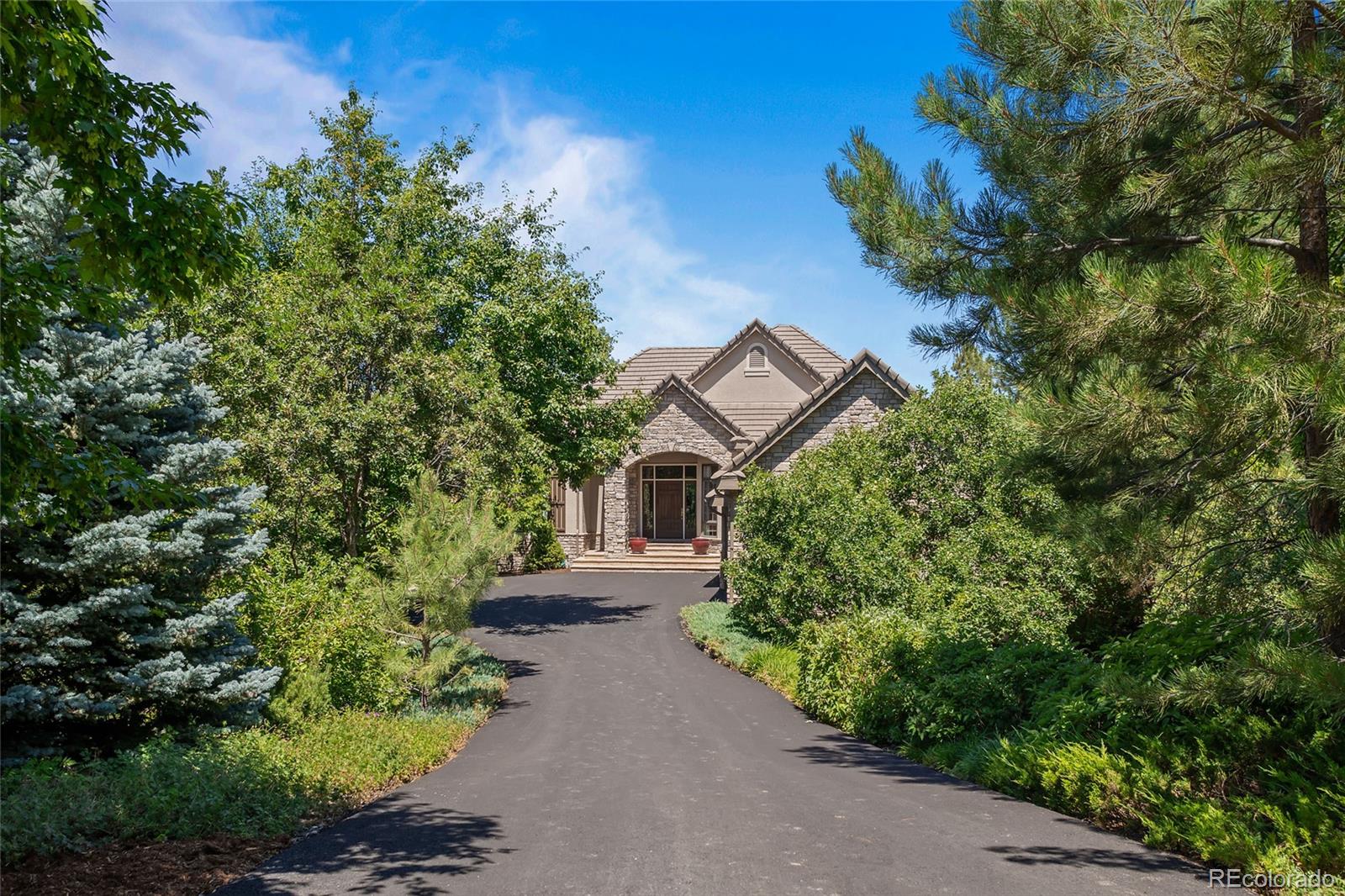 MLS Image #2 for 250  lead king drive,castle rock, Colorado