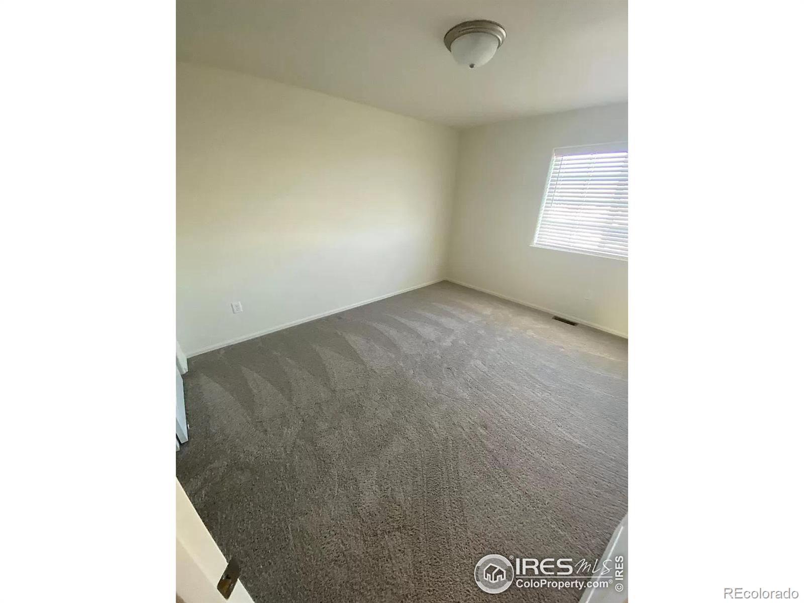 MLS Image #12 for 2433  ravi street,windsor, Colorado