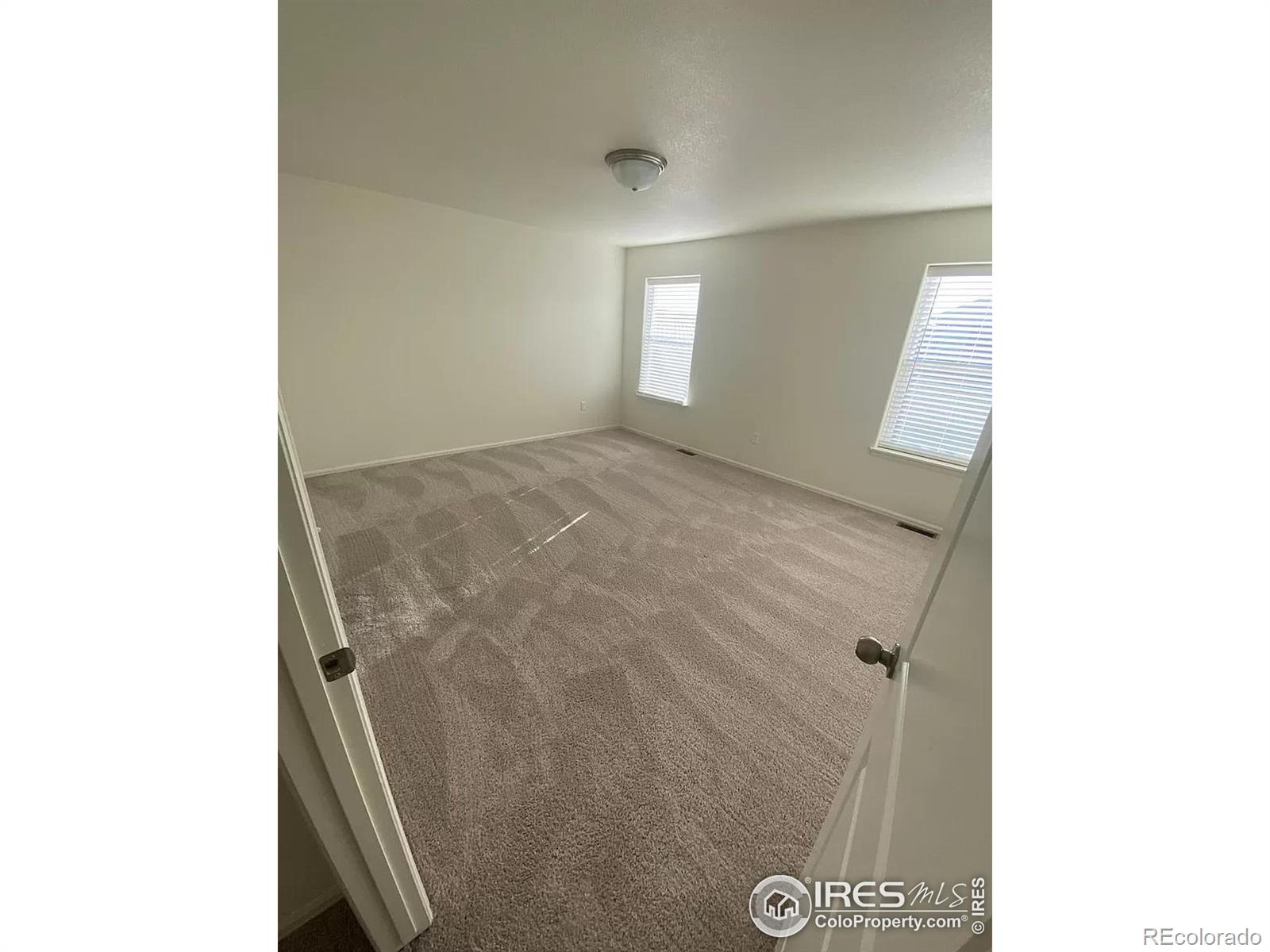 MLS Image #8 for 2433  ravi street,windsor, Colorado