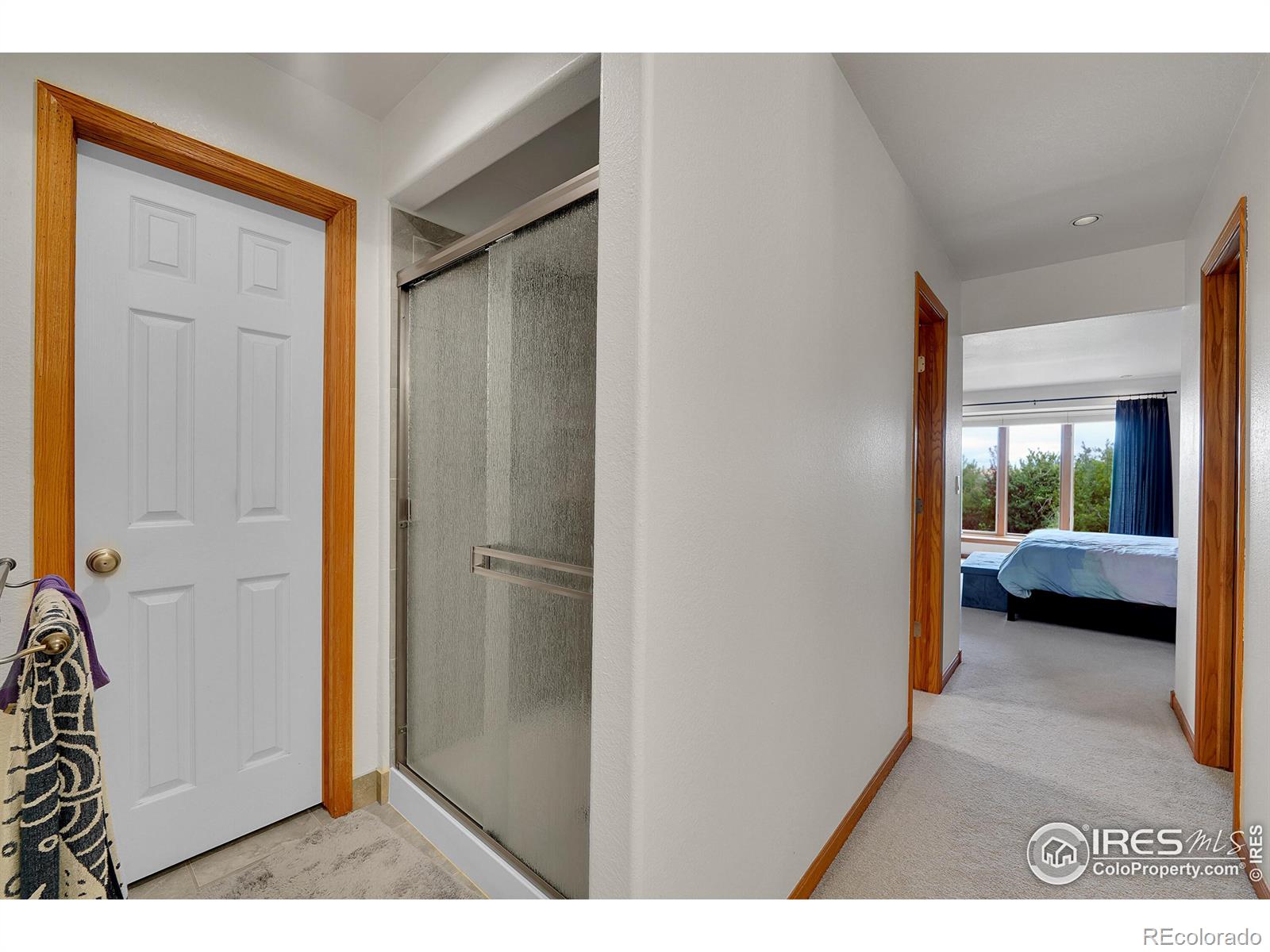 MLS Image #18 for 12987  hillcrest drive,longmont, Colorado