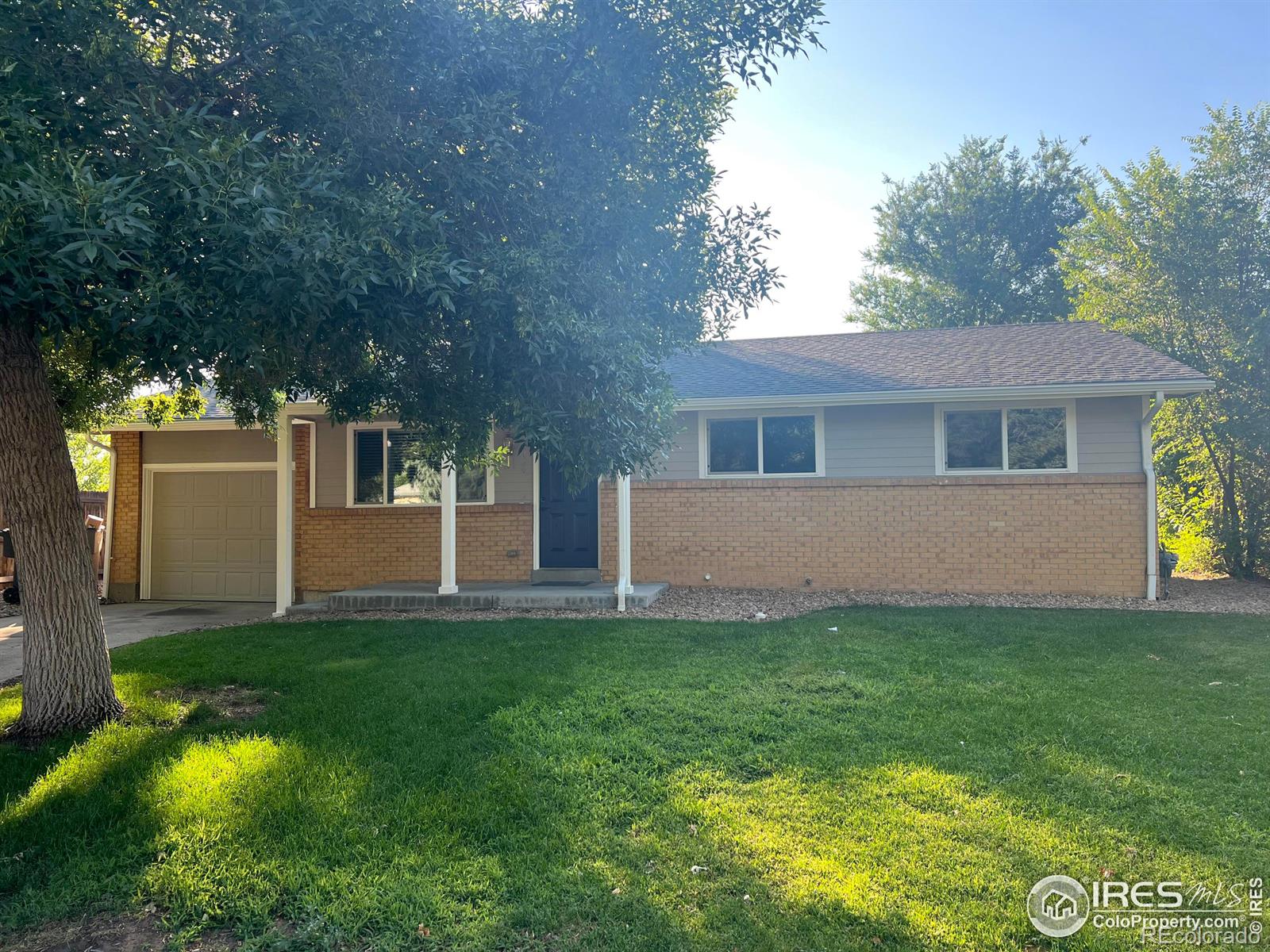 CMA Image for 1566  mayfield lane,Longmont, Colorado