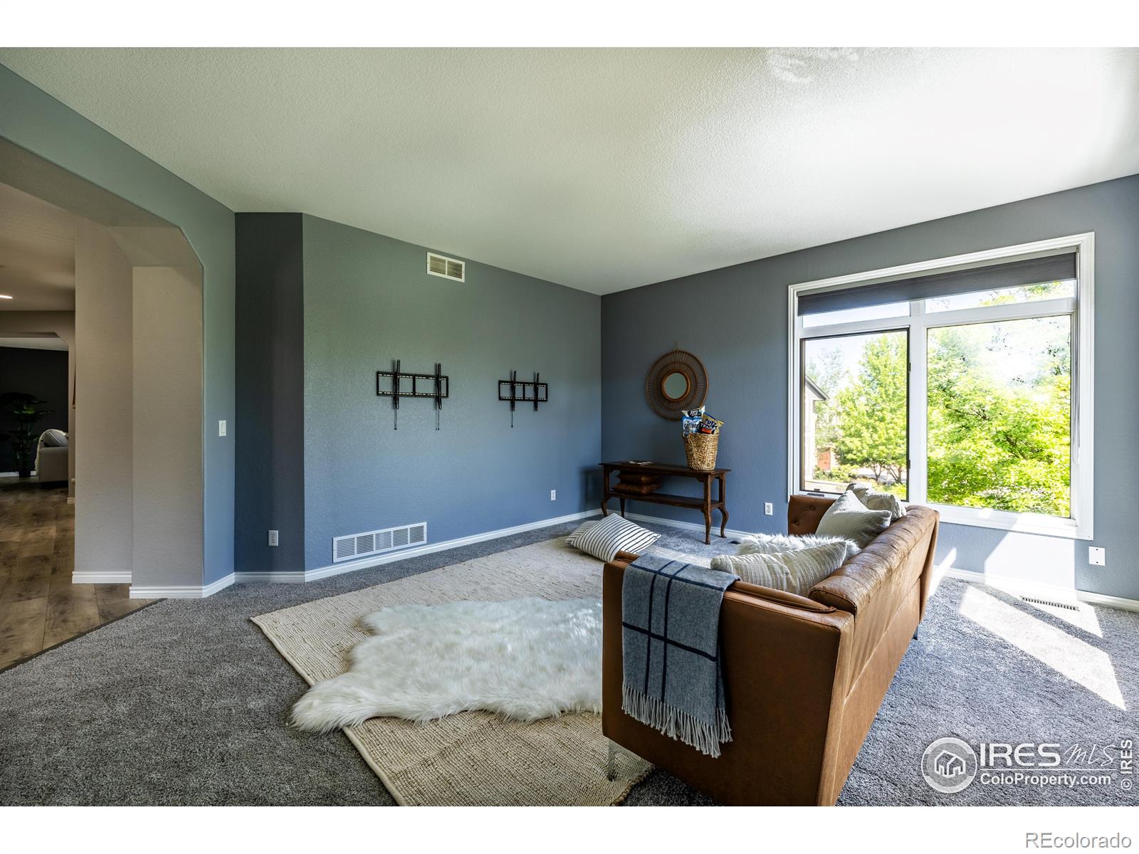 MLS Image #13 for 311  himalaya avenue,broomfield, Colorado