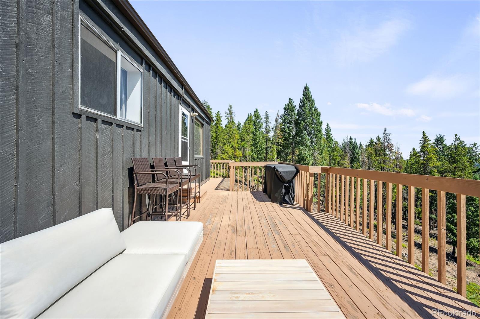 MLS Image #32 for 8366 s warhawk way,conifer, Colorado