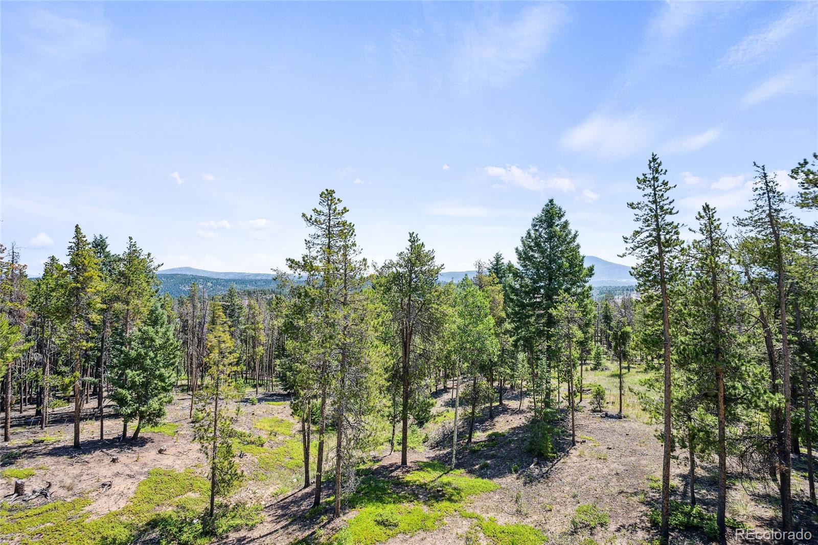 MLS Image #35 for 8366 s warhawk way,conifer, Colorado