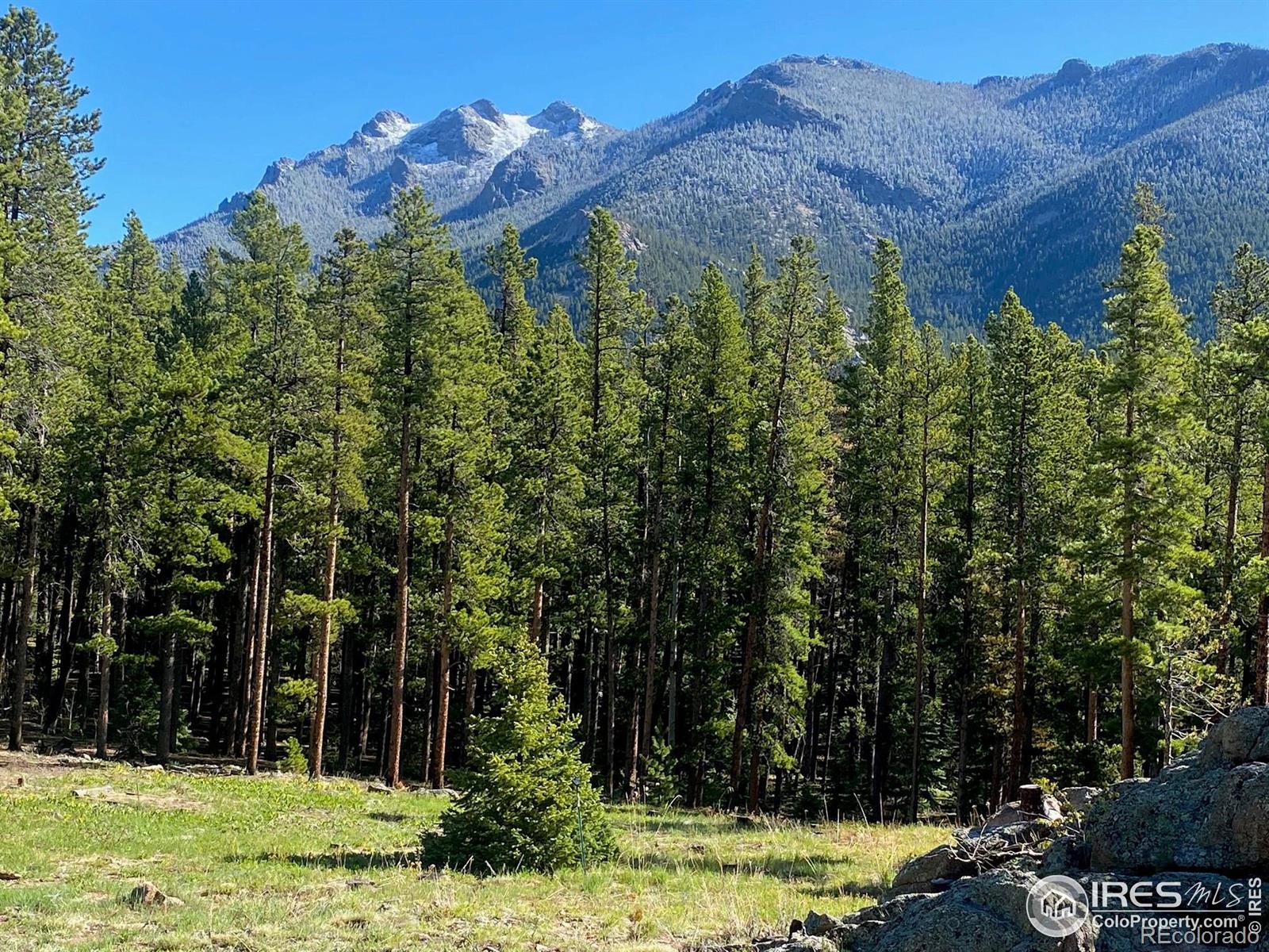 MLS Image #24 for 10329  highway 7 ,allenspark, Colorado