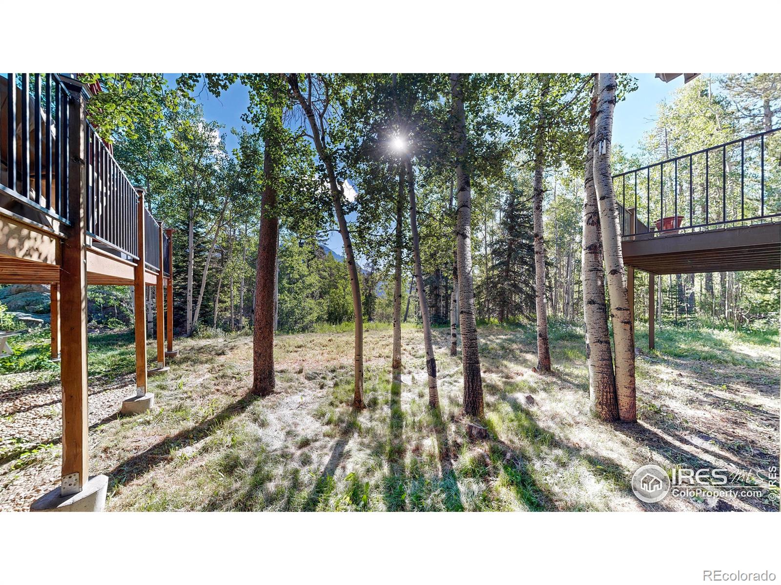 MLS Image #26 for 10329  highway 7 ,allenspark, Colorado