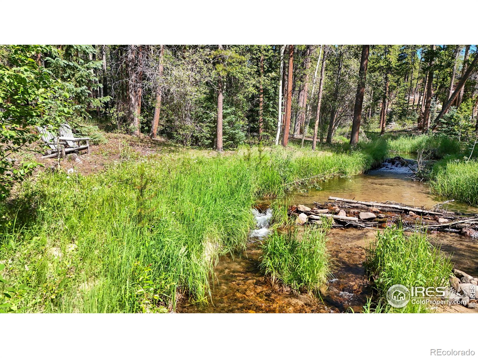 MLS Image #33 for 10329  highway 7 ,allenspark, Colorado